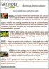 Gromax India Mint Seeds